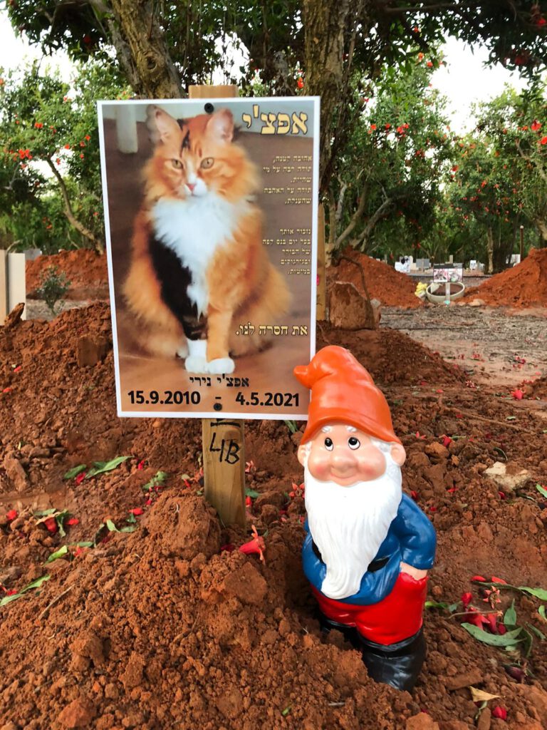 בית קברות לחתולים