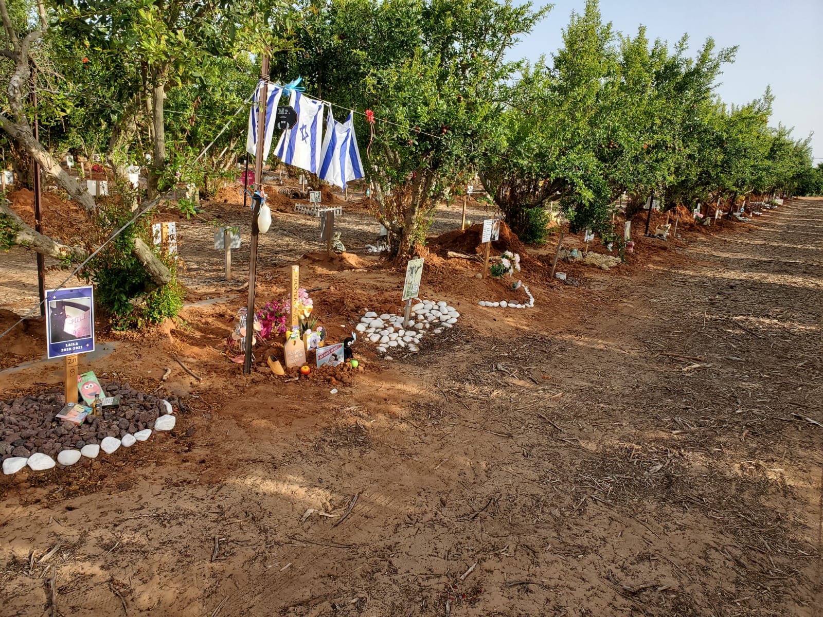 בית קברות לחיות פטברי