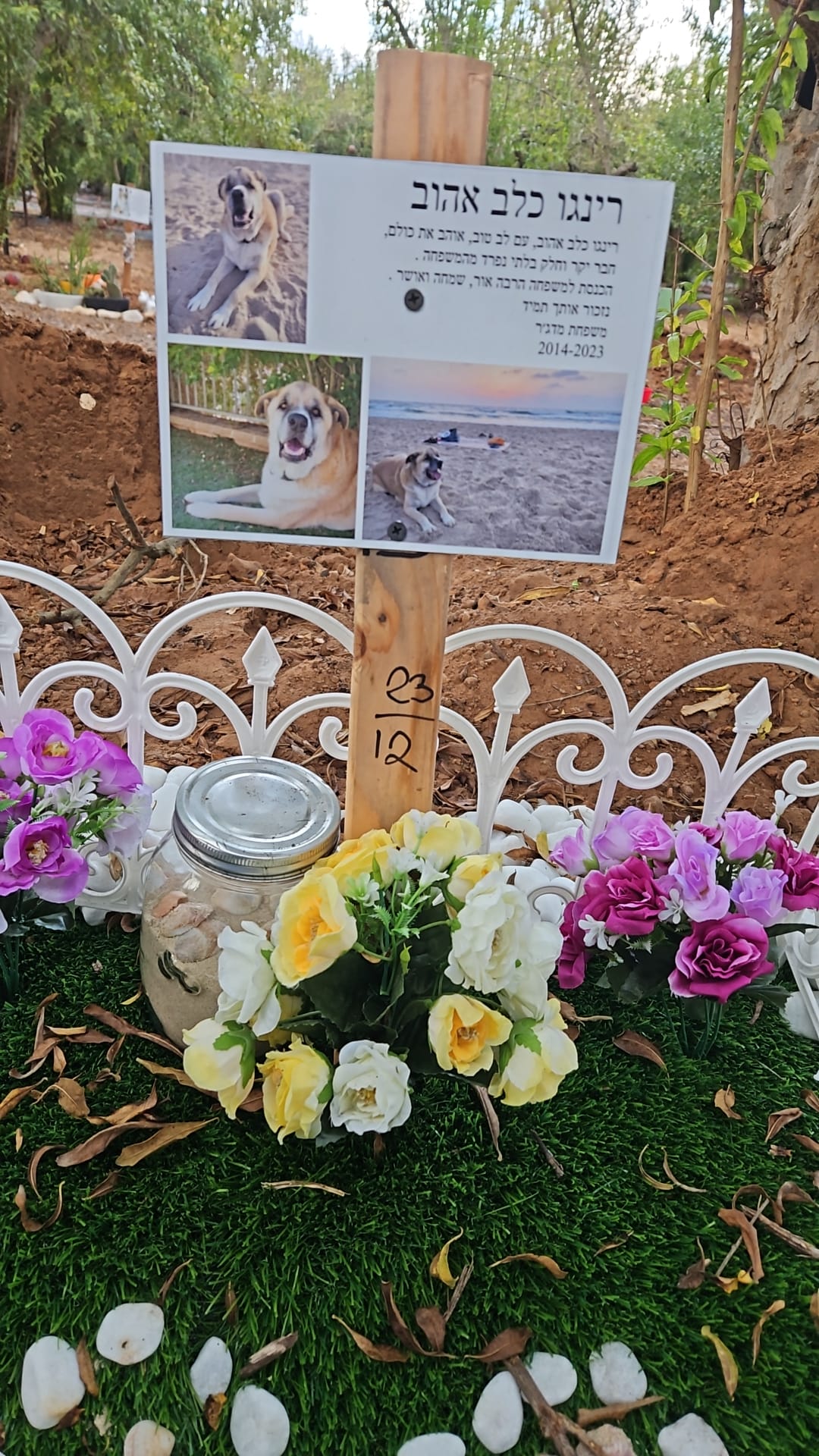 קבורה לרינגט כלב אהוב